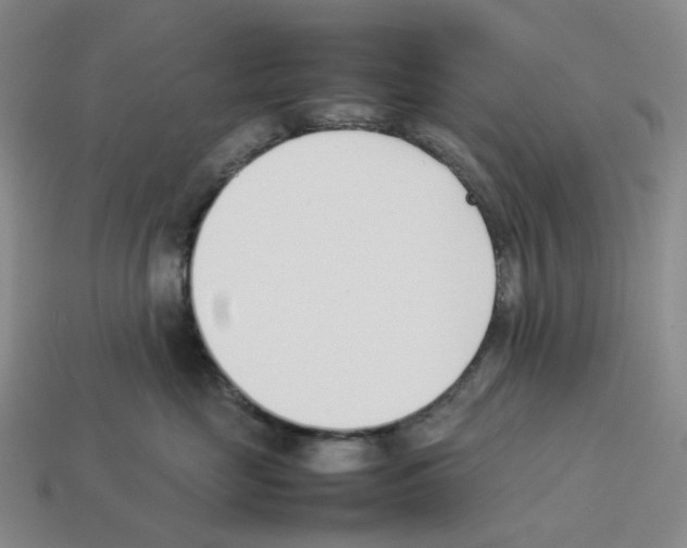 X0000114230669200911061529