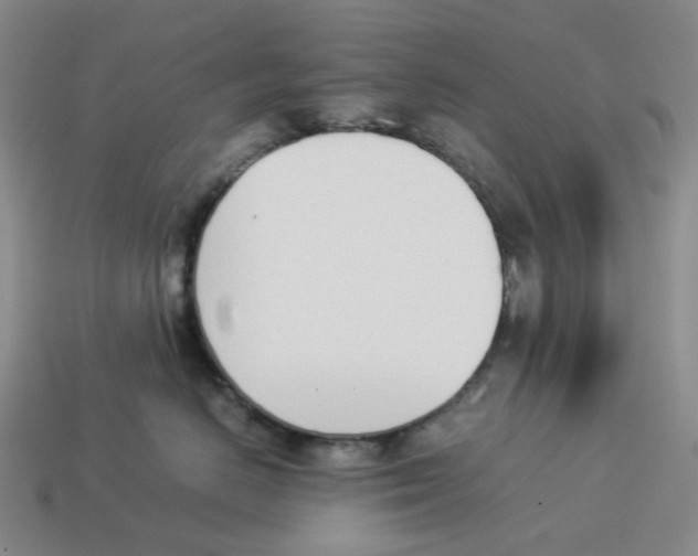 X0000114230670200911061529