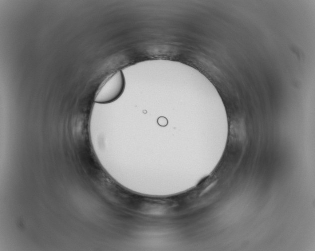 X0000114230671200911061529