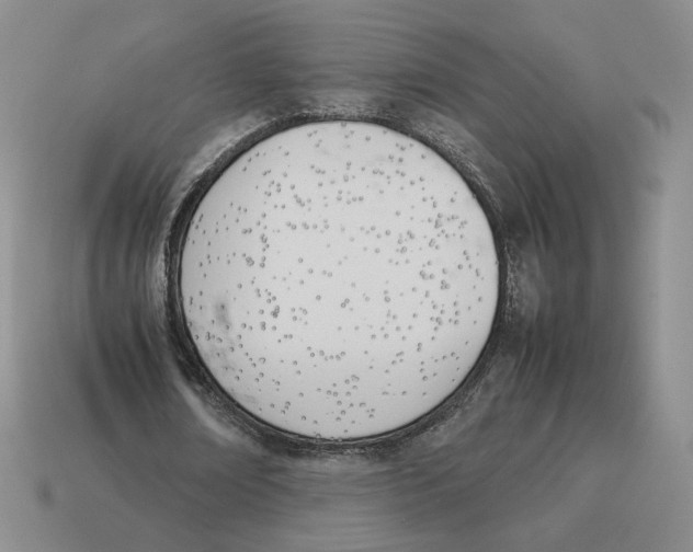 X0000114230674200911061528