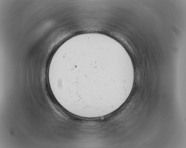X0000114230677200911061528