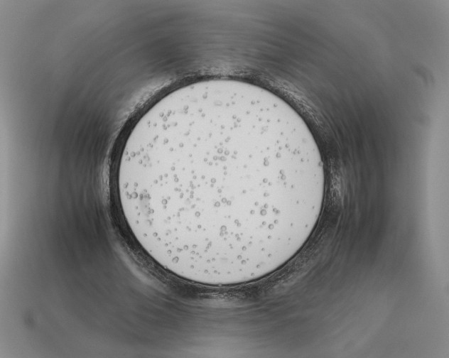 X0000114230678200911061528