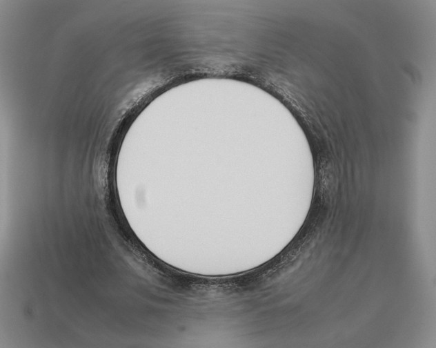 X0000114230679200911061528