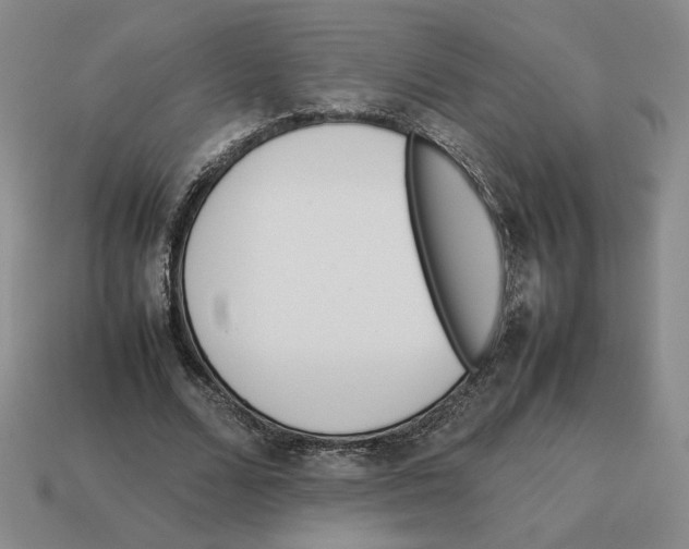 X0000114230680200911061528
