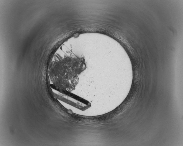X0000114230681200911061528