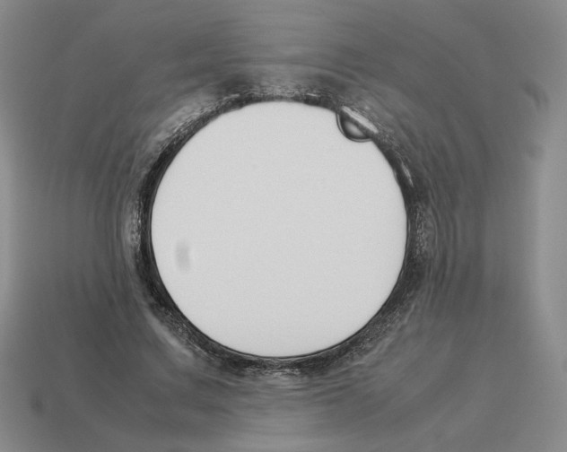 X0000114230683200911061528