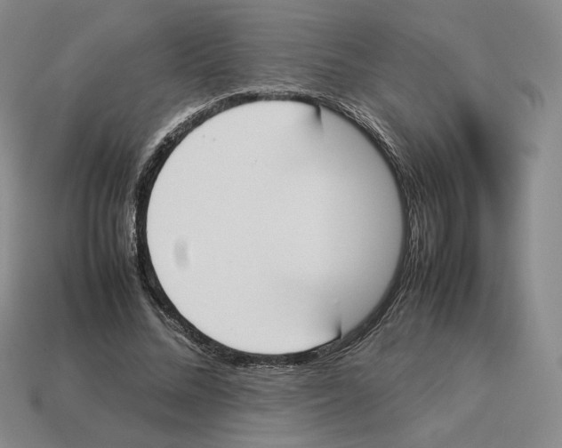 X0000114230684200911061528