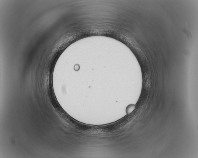 X0000114230685200911061528