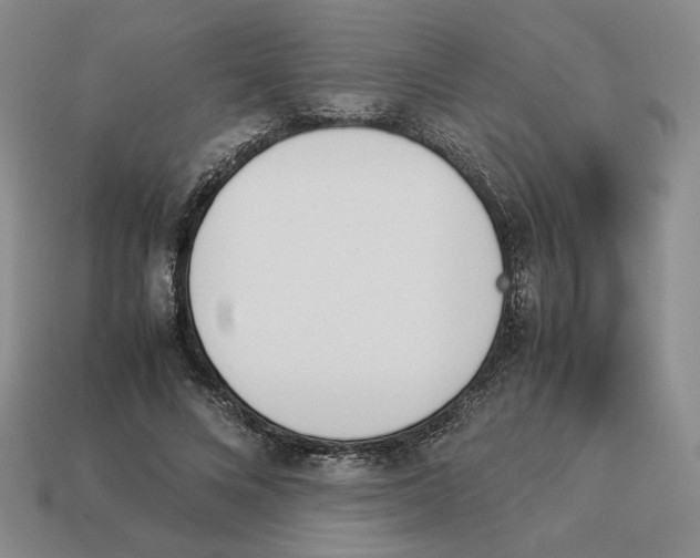 X0000114230688200911061528