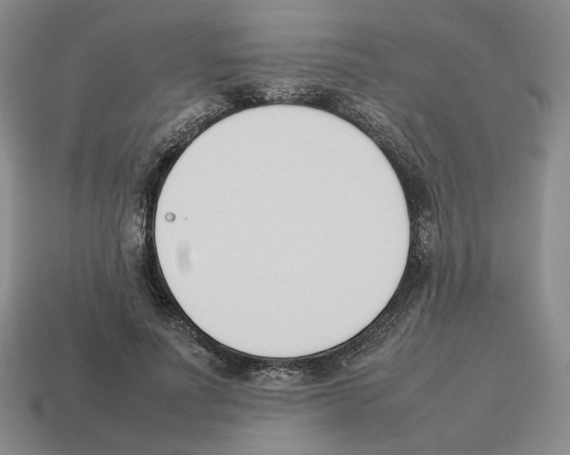 X0000114230691200911061528