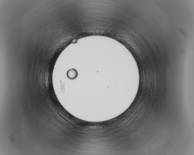 X0000114230692200911061528