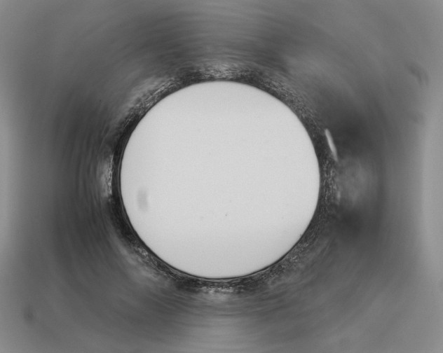 X0000114230694200911061528