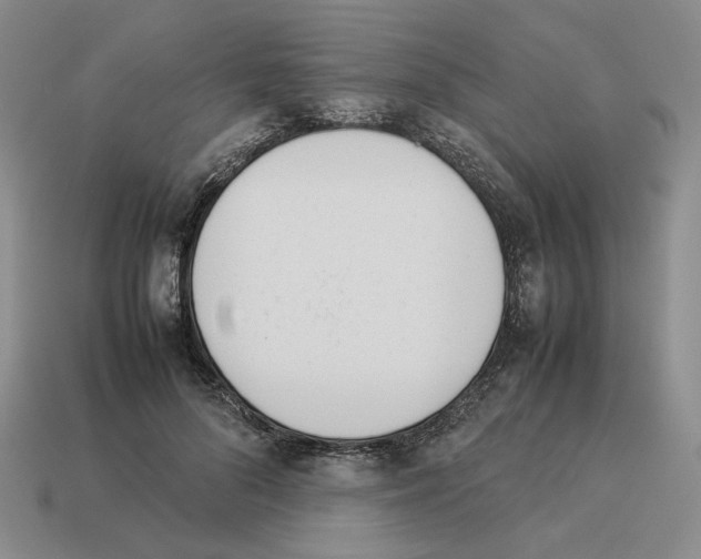 X0000114230696200911061528