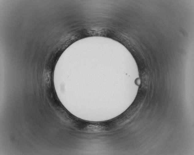 X0000114230699200911061528