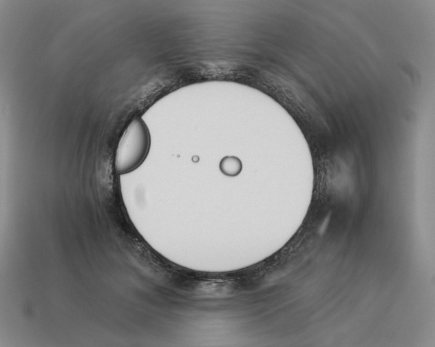 X0000114230700200911061528