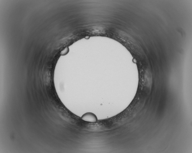 X0000114230704200911061528