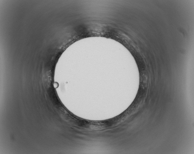 X0000114230707200911061528