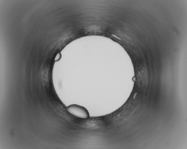 X0000114230708200911061528