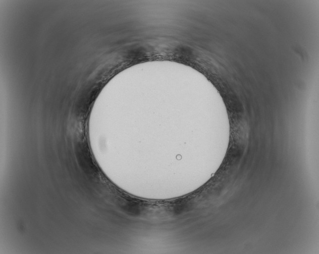 X0000114230709200911061528