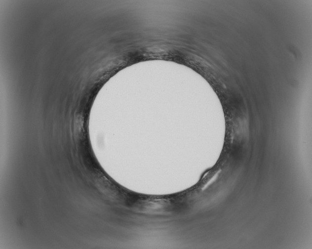 X0000114230711200911061528