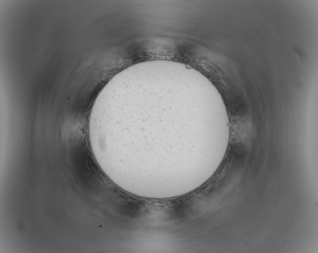 X0000114230713200911061528