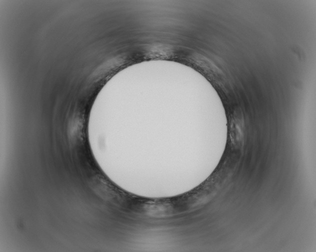 X0000114230714200911061528