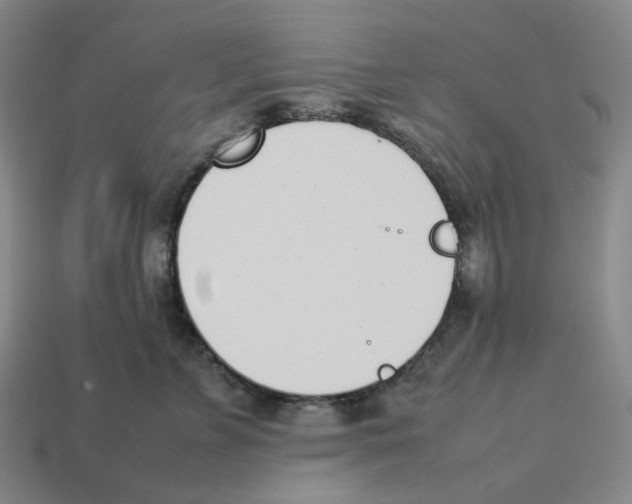 X0000114230715200911061528
