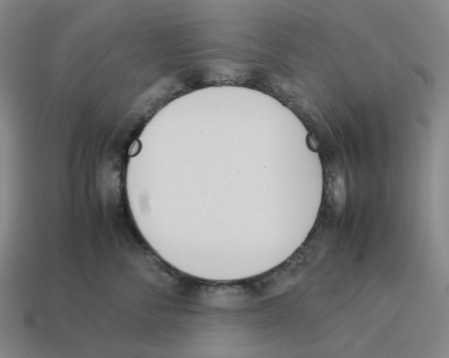 X0000114230716200911061528