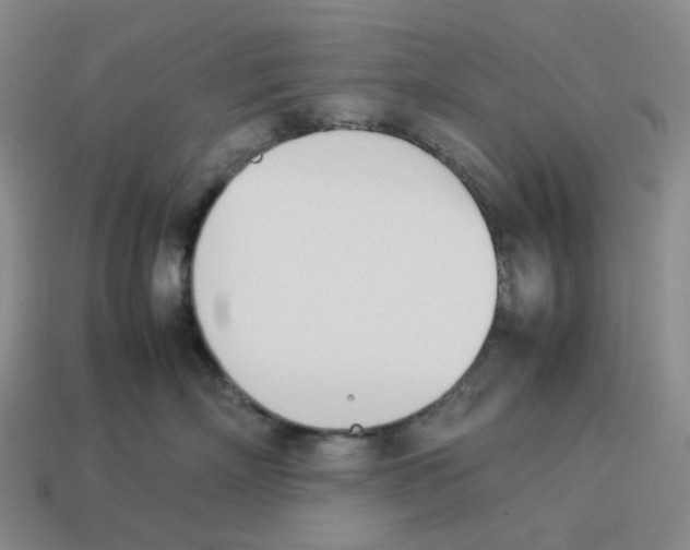 X0000114230718200911061528