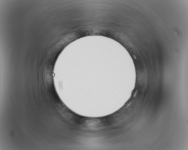 X0000114230719200911061528