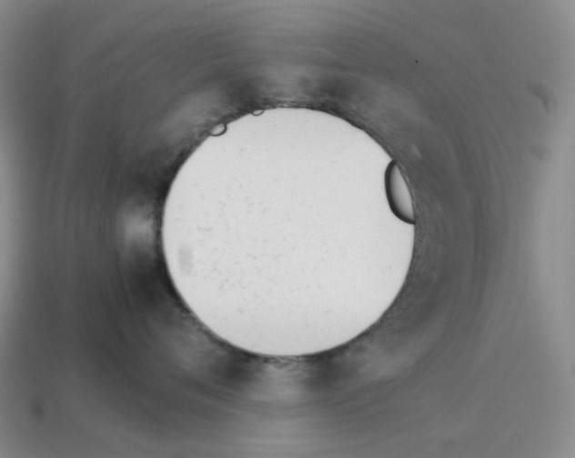 X0000114230720200911061527