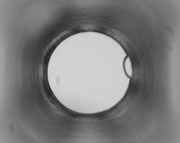 X0000114230722200911061527