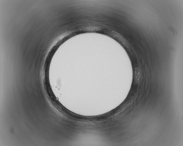 X0000114230726200911061527