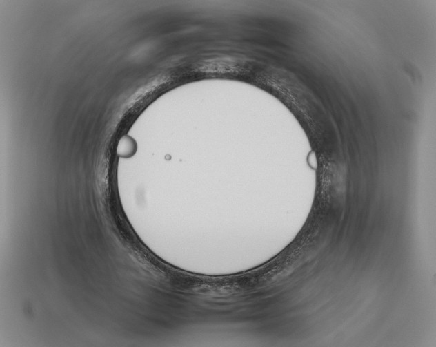 X0000114230727200911061527