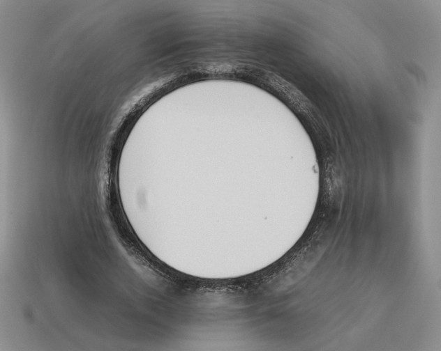 X0000114230728200911061527