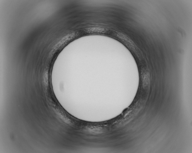 X0000114230729200911061527