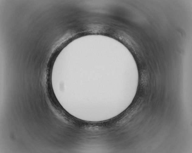 X0000114230730200911061527