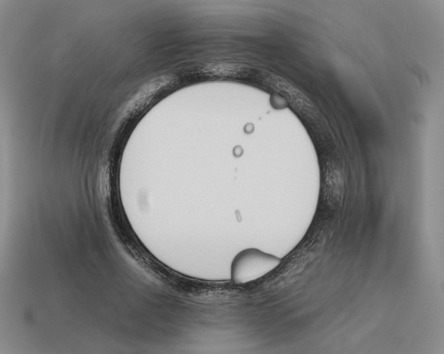 X0000114230734200911061527