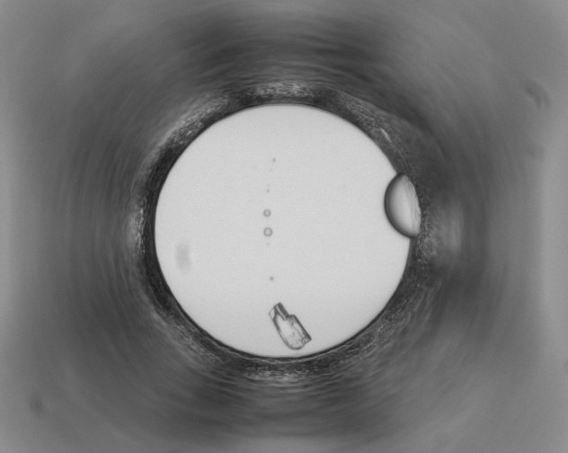 X0000114230735200911061527