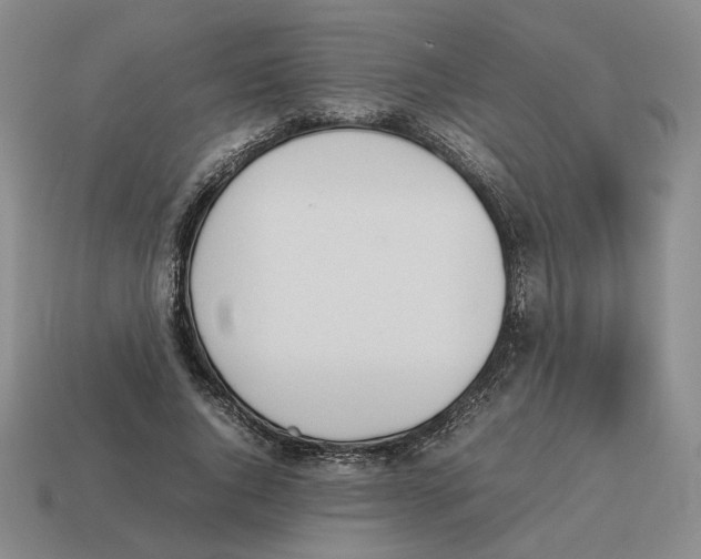 X0000114230736200911061527