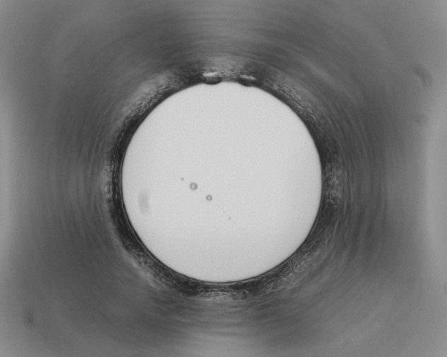 X0000114230738200911061527