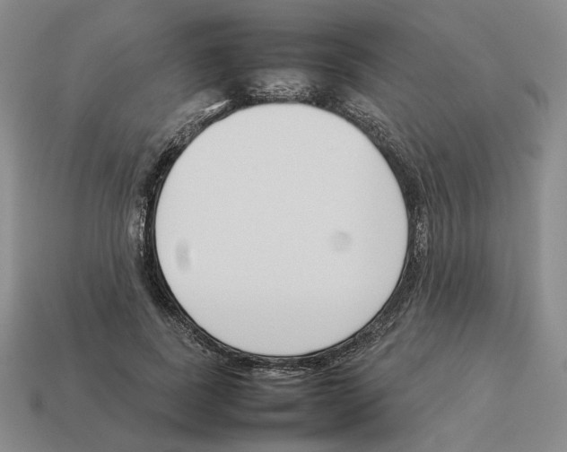 X0000114230739200911061527