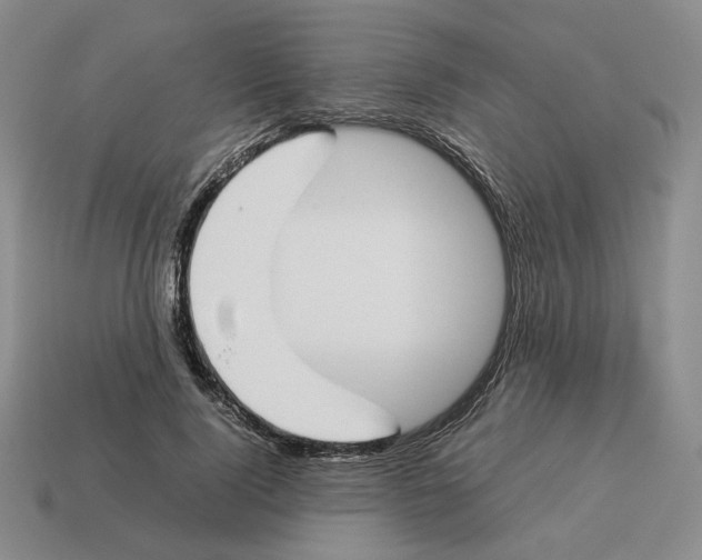 X0000114230740200911061527