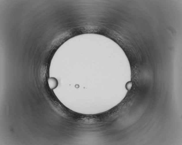 X0000114230742200911061527