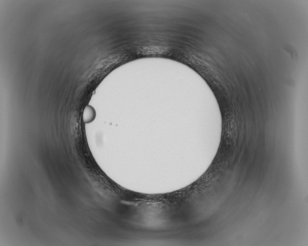 X0000114230743200911061527