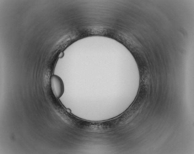 X0000114230744200911061527