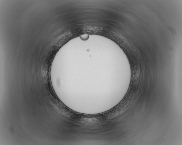 X0000114230749200911061527