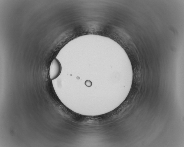 X0000114230750200911061527