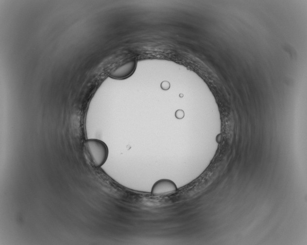 X0000114230757200911061527