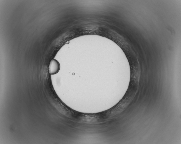 X0000114230758200911061527